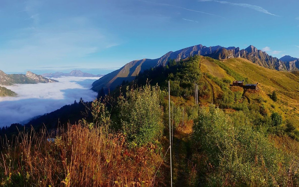 Mit speziellen Netzen untersucht die Schweizer Vogelwarte auf dem Col de Bretolet Zugvögel.