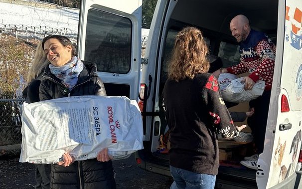 Es packen alle fleissig mit an. 