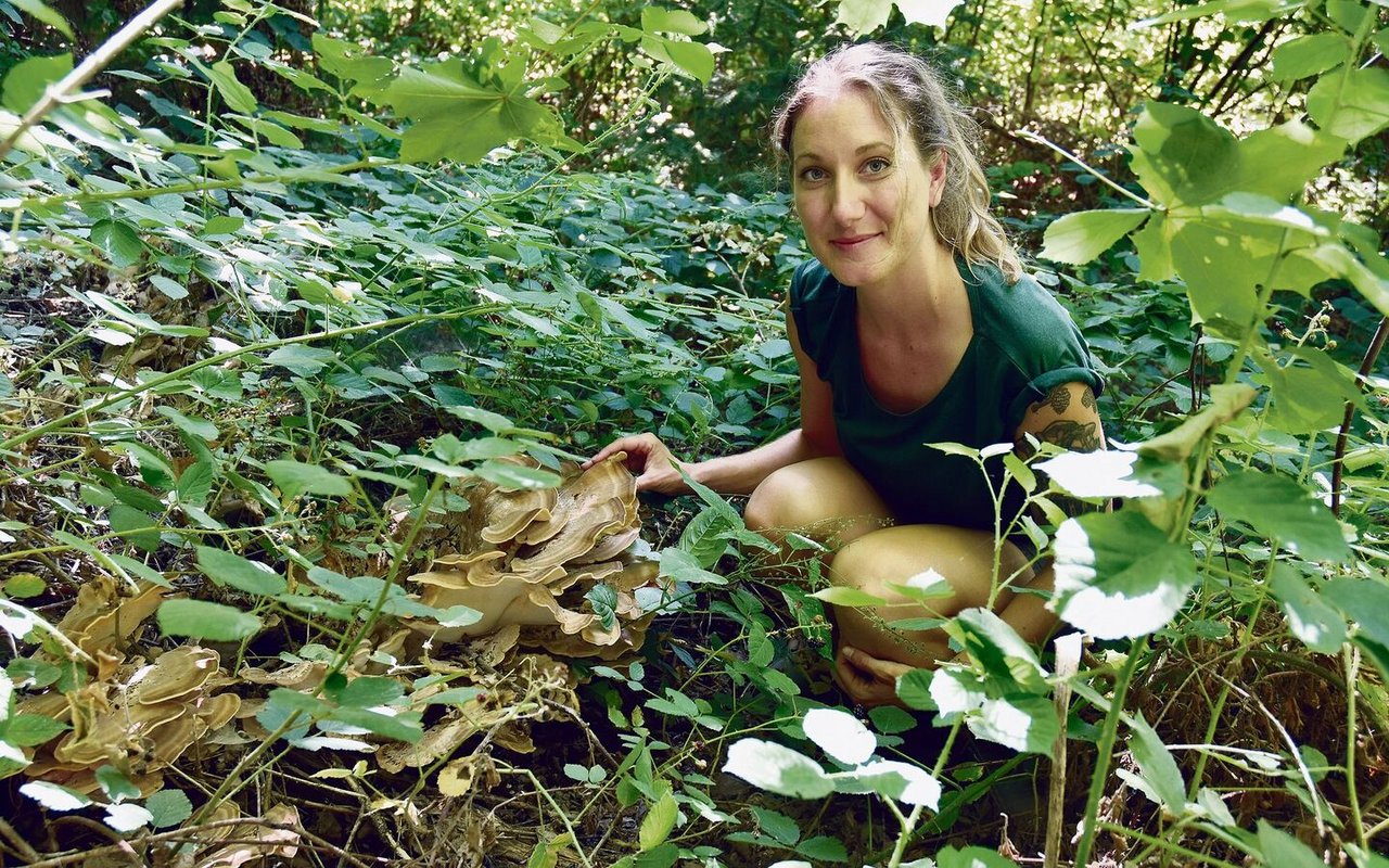 Essbare Pilzehat die Mykologin Artemis Treindl im Birmensdorfer Wald nicht gefunden, dafür aber einen beeindruckenden Riesenporling.