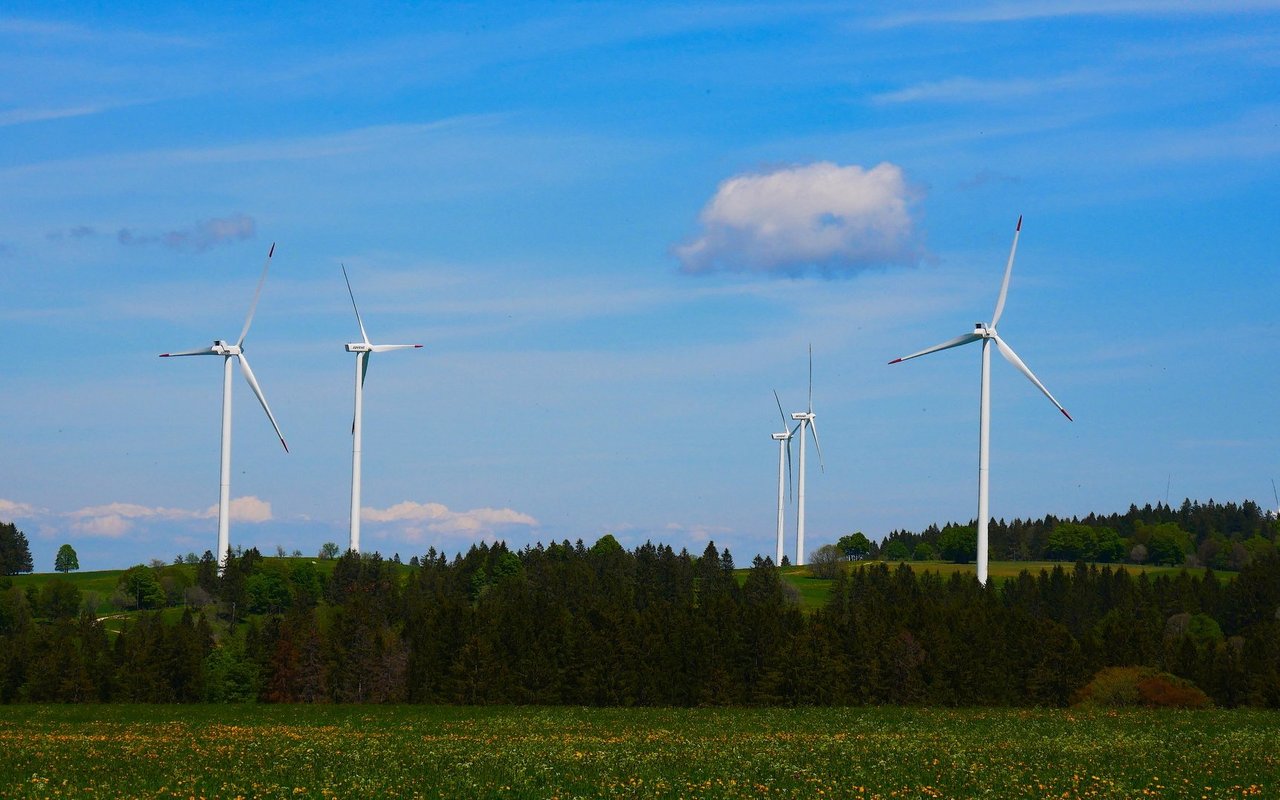 Windräder verändern das Mikroklima: steigende Nachttemperaturen und veränderte Feuchtigkeit beeinflussen Pflanzen und Insekten.