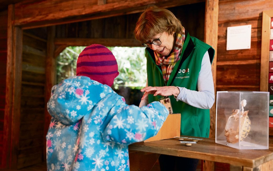 Freiwillige wie hier im Zoo Zürich sind wichtige Schnittstellen zwischen dem Zoo und seinen Besuchern.