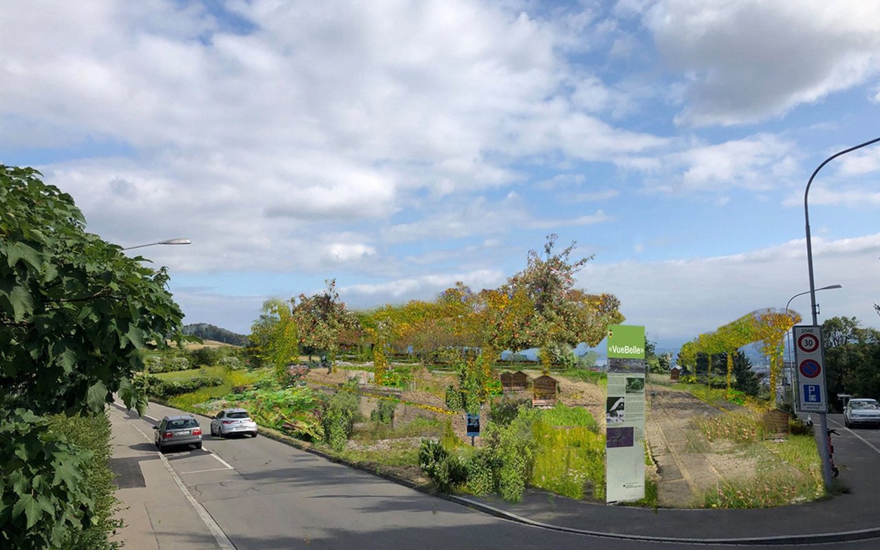 Auf dem Hönggerberg soll der biodiverse Zwillingsplatz entstehen.