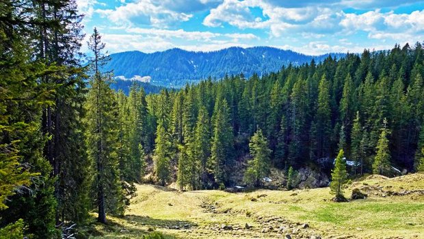 Wald im Kanton Obwalden