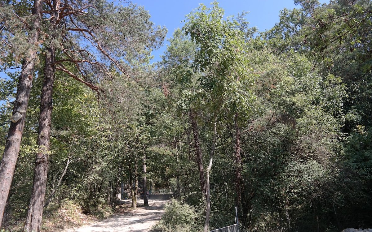 Der Tierpark Biel liegt in einer natürlichen Waldlandschaft am Jurasüdfuss. 