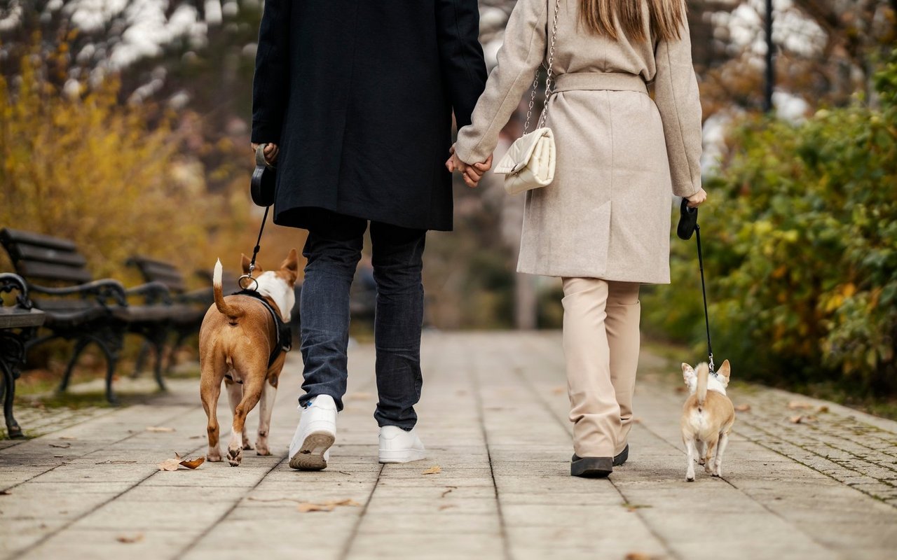 Mit Hunden kommt man leicht ins Gespräch.