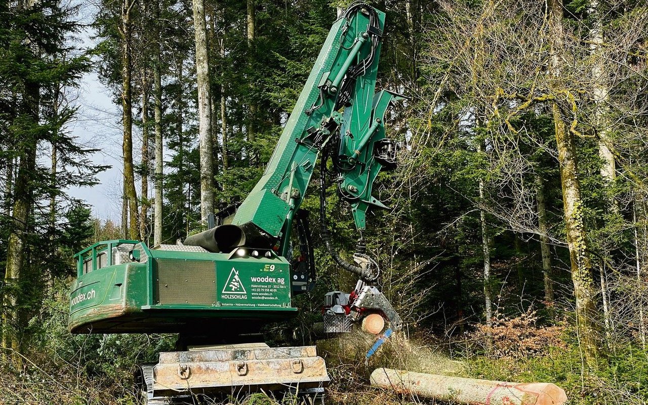 Die Forstmaschine kann Bäume fällen, entasten und zerteilen.