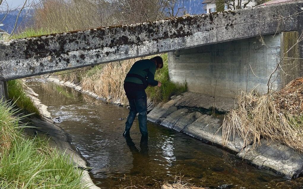 Brücken sind von Menschen oft mühsam zu unterqueren, werden aber von Fischottern gerne zum Markieren angenommen.