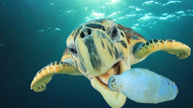 Plastik im Meer