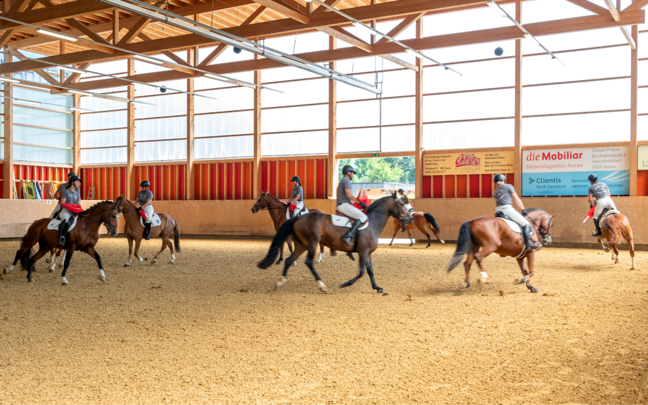 Die Reitquadrille der Interessensgemeinschaft Freiberger reitet verschiedene Formationen.