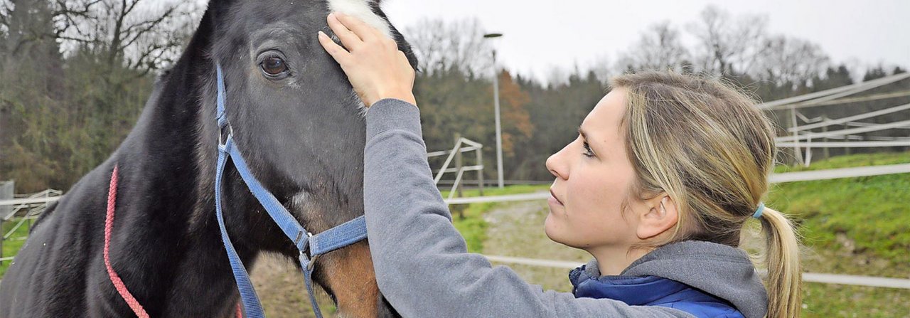 Natalie Niquille weiss, wie man bei Pferden Hand anlegt, um ihr Wohlbefinden zu steigern.