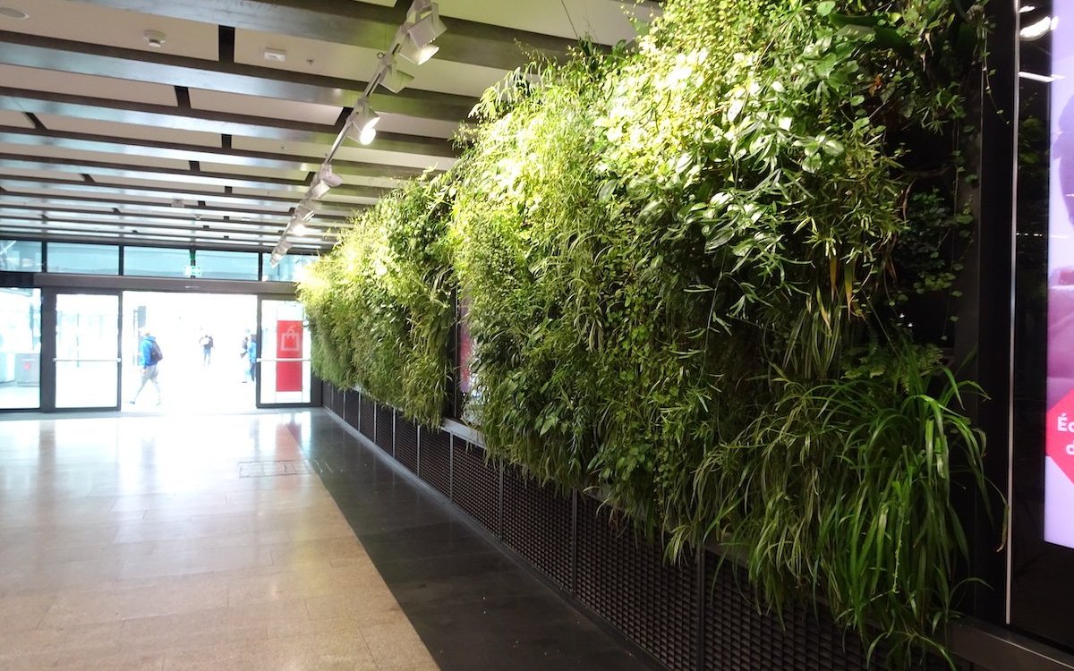 Im Genfer Bahnhof Eaux-Vives wurden grüne Wände gestaltet. Das ist weitaus besser und schöner als nur Werbeplakate aufzuhängen. 