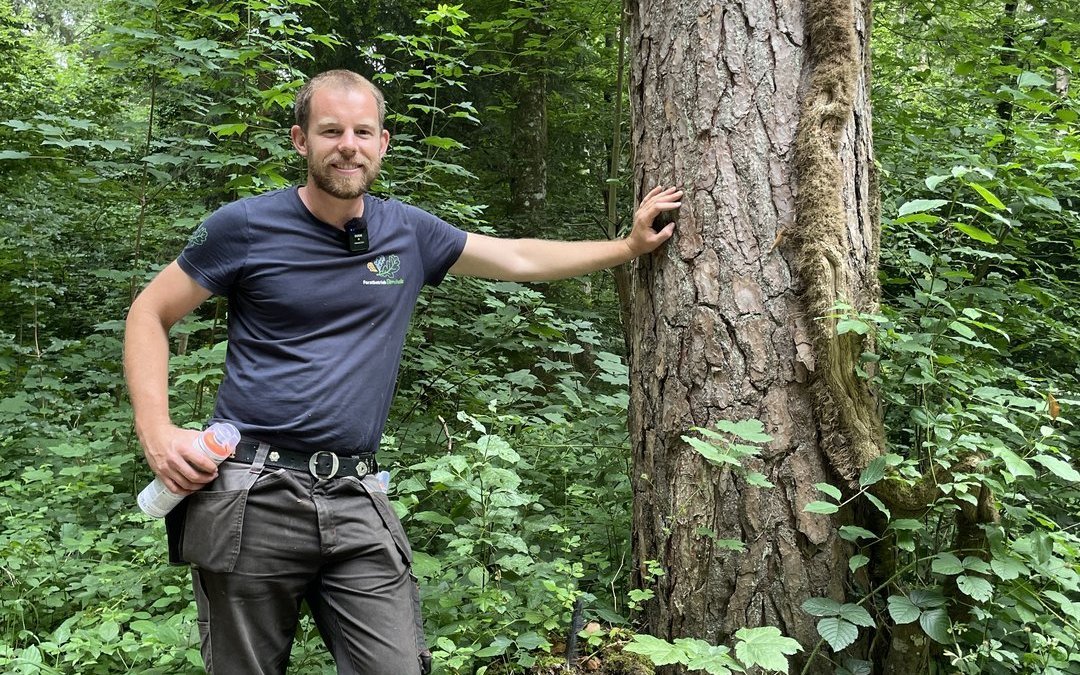 Markus Lüthy ist überzeugt, mit dem Dauerwald-Prinzip Biodiversität und Wirtschaftlichkeit in seinem Wald vereinen zu können. 