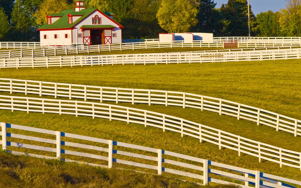 Lexington gilt als die „Pferdehauptstadt der Welt“. Nur zehn Fahrminuten außerhalb der charmanten Innenstadt von Lexington liegt das Zentrum des Horse Country.