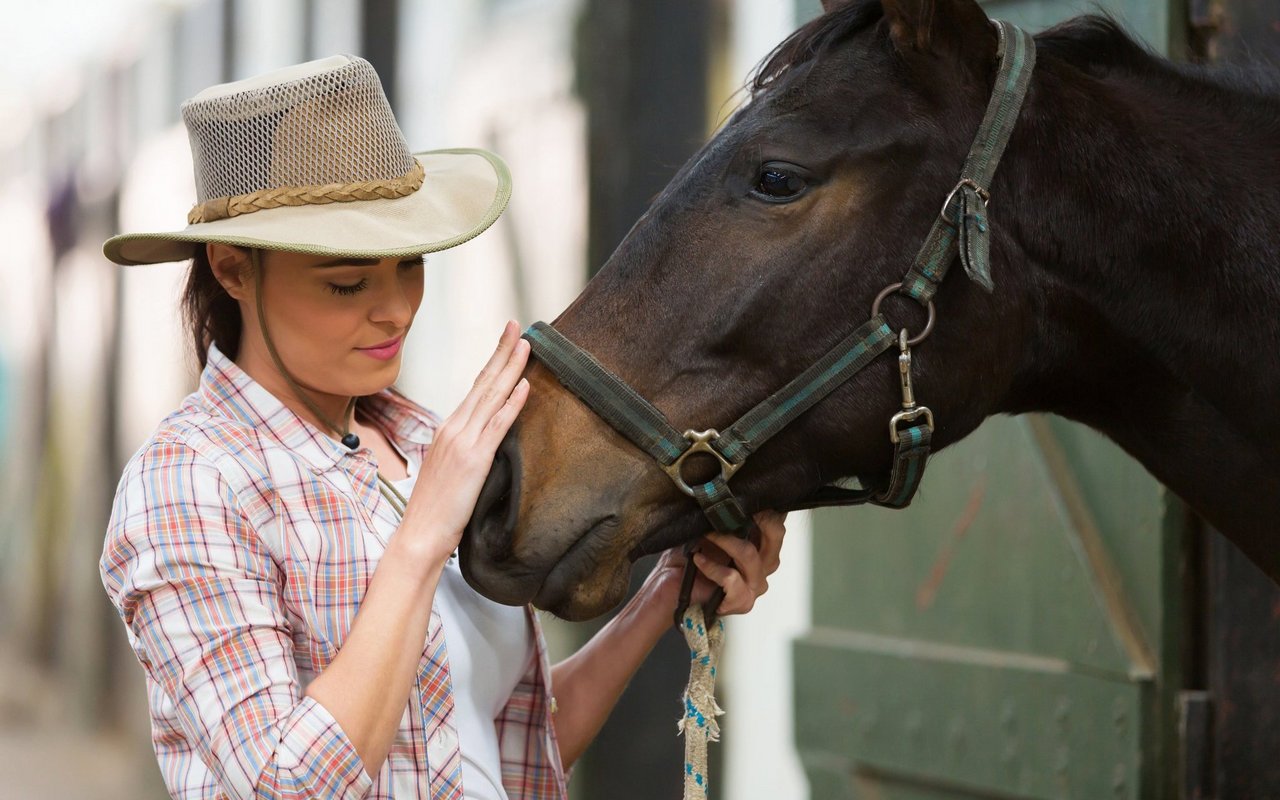 Pferde können die Art und Weise, wie man mit ihnen spricht, erkennen. 