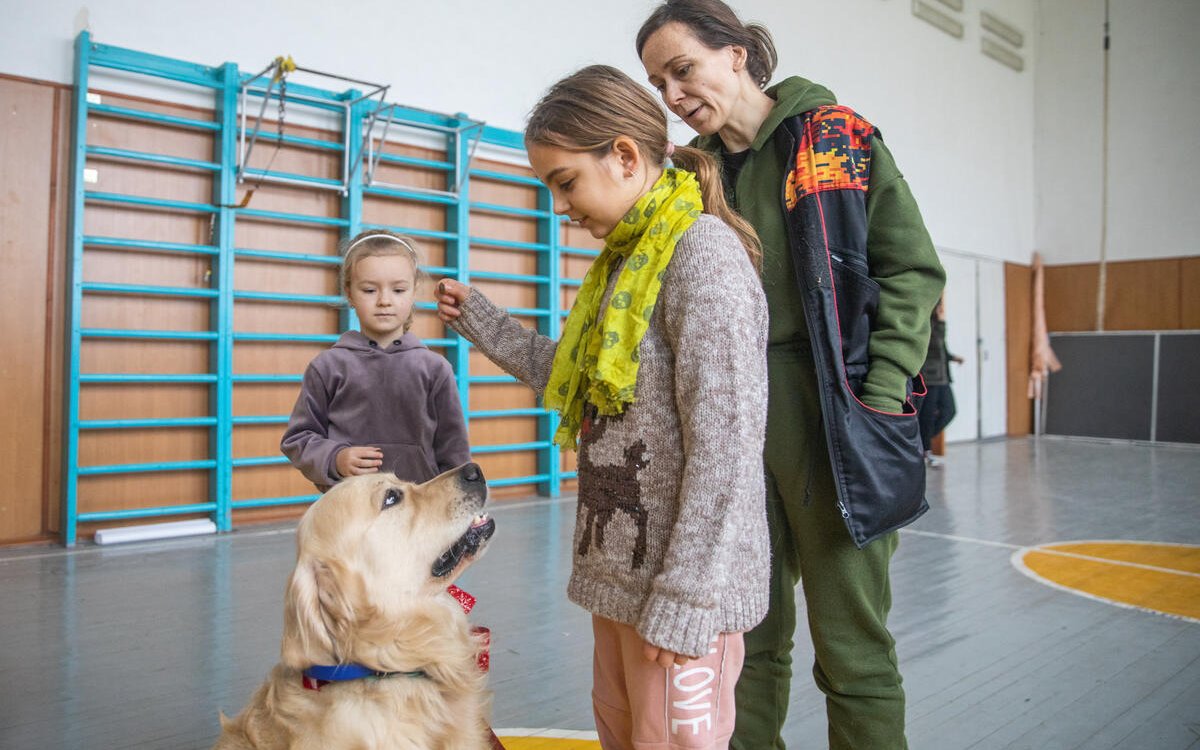 Therapiehund Parker ist für die ukrainischen Kinder eine grosse Unterstützung. 
