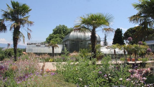Botanische Gärten der Schweiz