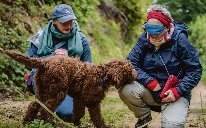 Junghundetrainer zeigen einem Welpen die Welt und führen ihn spielerisch an seine späteren Aufgaben heran.