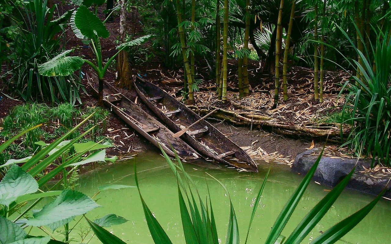 Die Masoala-Regenwaldhalle des Zoos Zürich stellt ein Stück Lebensraum Madagaskars dar. 