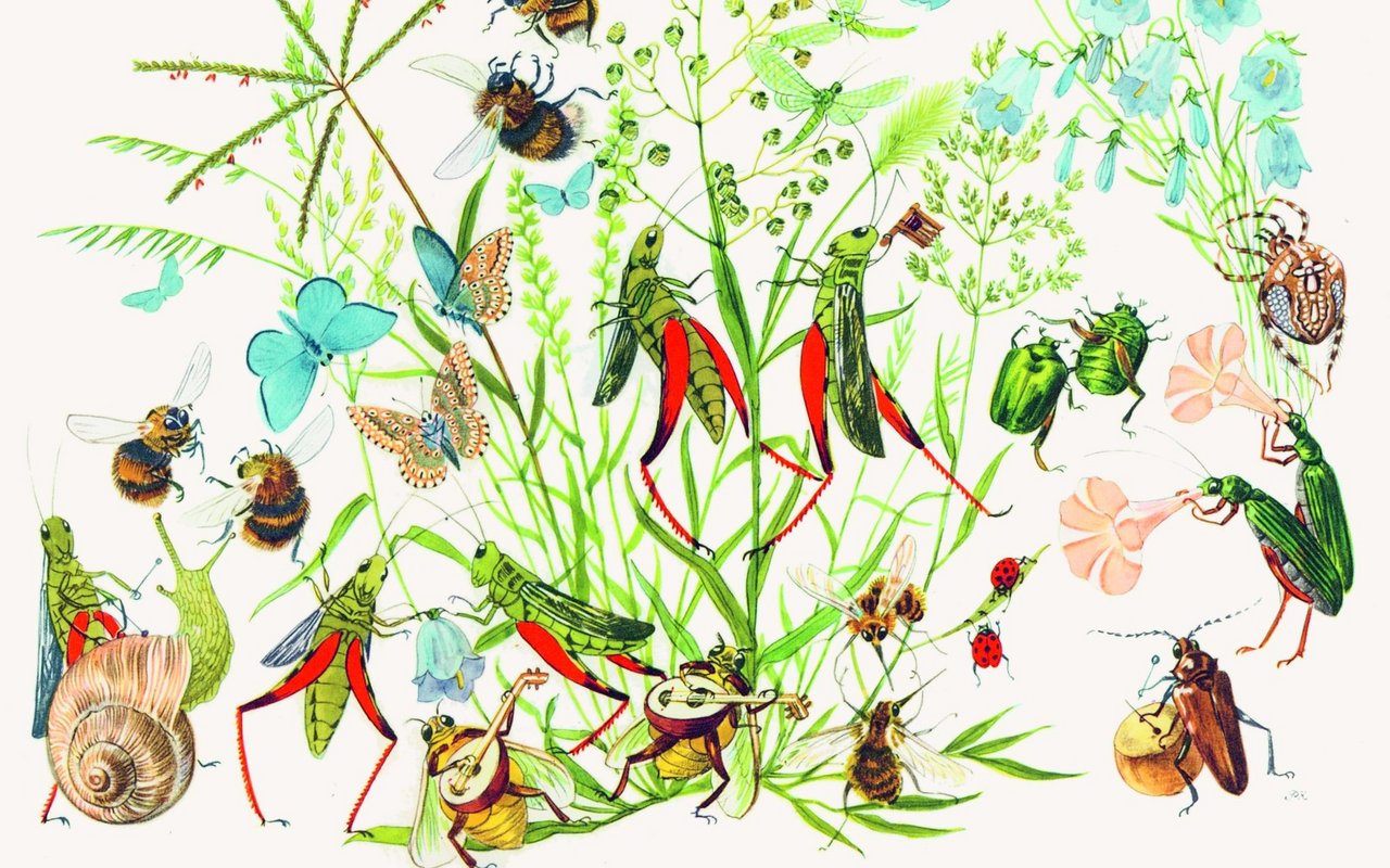 Illustration aus Stüffels Abenteuer, verfasst von Hedwig Kasser.