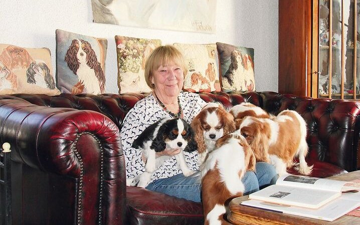 Gunilla Kühni-Stenberg hat sich ganz den Cavalier King Charles Spaniels verschrieben. 