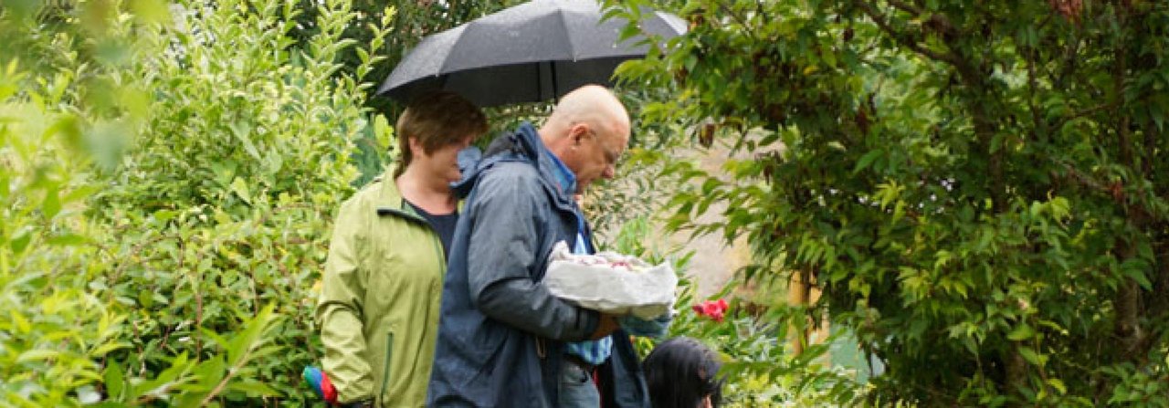 Auf dem Tierfriedhof können Menschen ungestört um ihr Tier trauern.