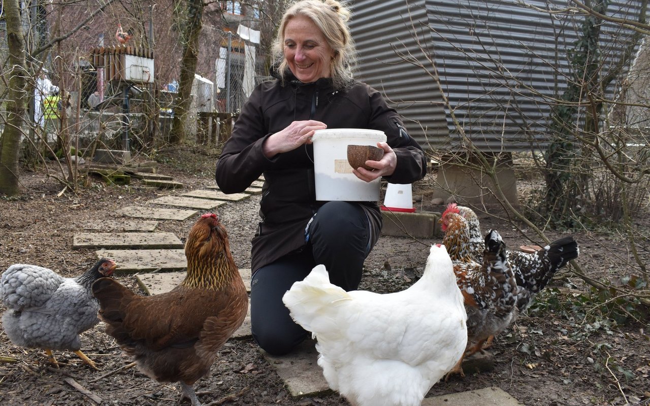 Anja Sitter hatte zwar ursprünglich nichts mit Hühnern am Hut, findet die Tiere heute aber «einfach wunderbar».