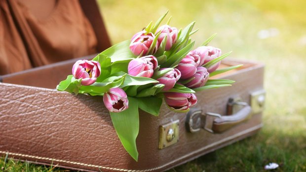 Koffer und Blumen