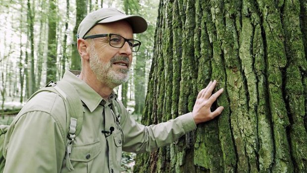 Förster Peter Wohlleben berührt die Rinde eines Baumes