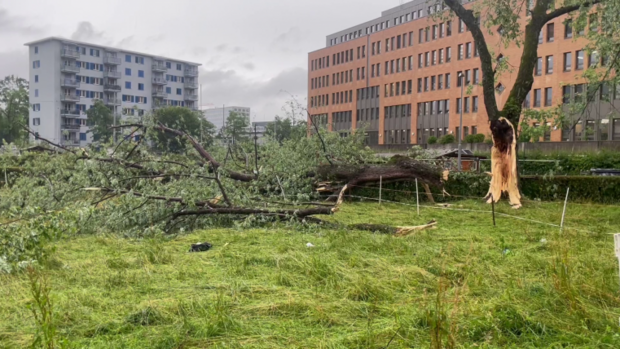 Sturmschaeden in Zuerich