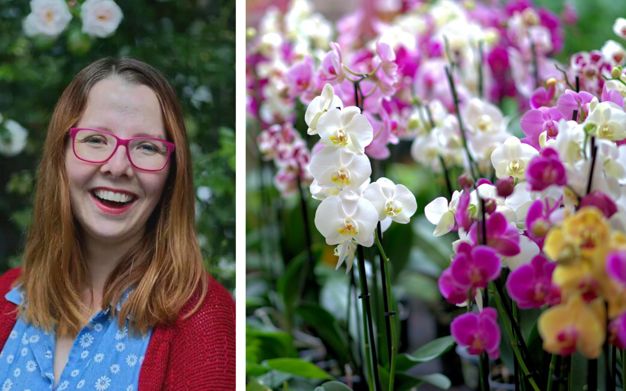 Noemi Harnickell begab sich auf ihrer Reise an die verschiedensten Orte. So besuchte sie auch den Orchideenproduzenten «Sion Orchids» in den Niederlanden. (rechts)