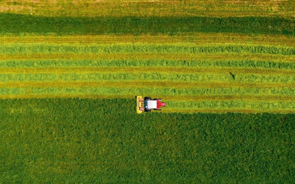 70 Prozent der landwirtschaftlichen Fläche in der Schweiz besteht aus Wiesen und Weiden.