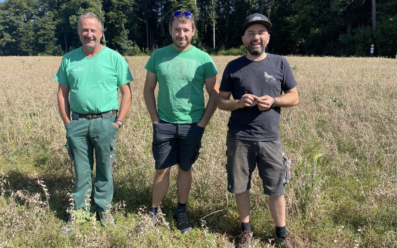 Wie wird die diesjährige Kichererbsenernte ausfallen? Die Landwirte des Leimenhofs zwischen Skepsis und Zuversicht.