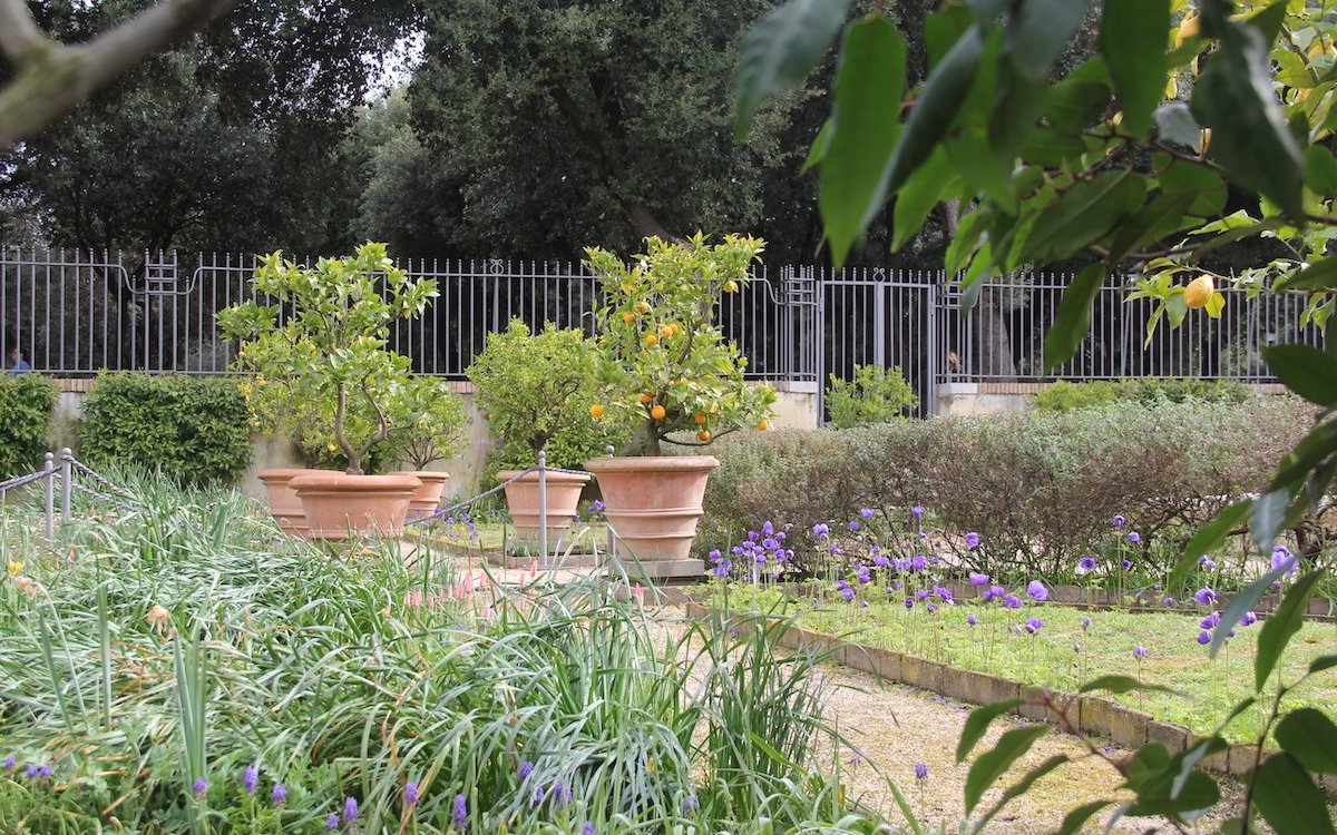 Zitruspflanzen in Terracottagefässen verströmen mediterranes Flair. 