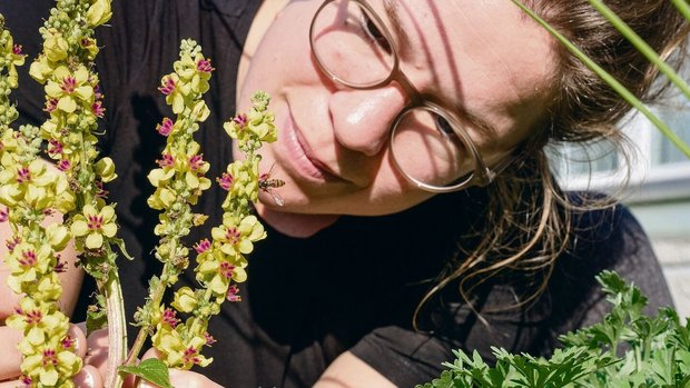Simona Zahner liebt nicht nur das Baumklettern, sondern auch Naturgärten für Insekten.