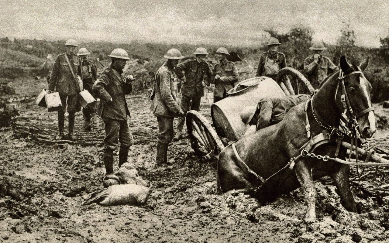 1. Weltkrieg: Ein britisches Pferd sinkt 1914 im Schlamm ein.