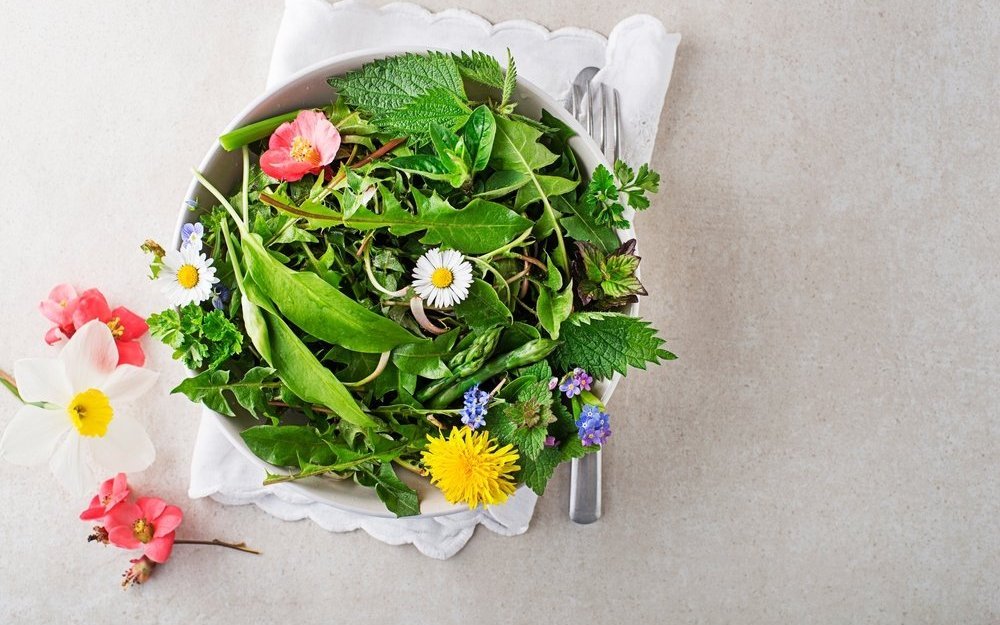 Wildkräuter sind aromatisch, voller Vitamine und fast überall zu finden.  