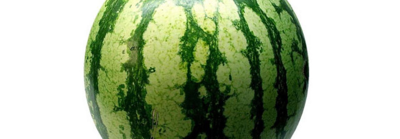 Wassermelonen aus dem eigenen Garten schmecken besonders gut.