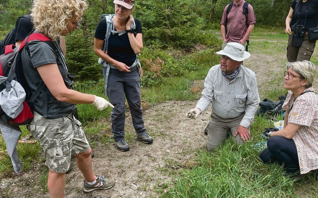 Beim Training lernen die Freiwilligen von Biosphere Expeditions, wie man Wolfslosung erkennt und erfasst. 