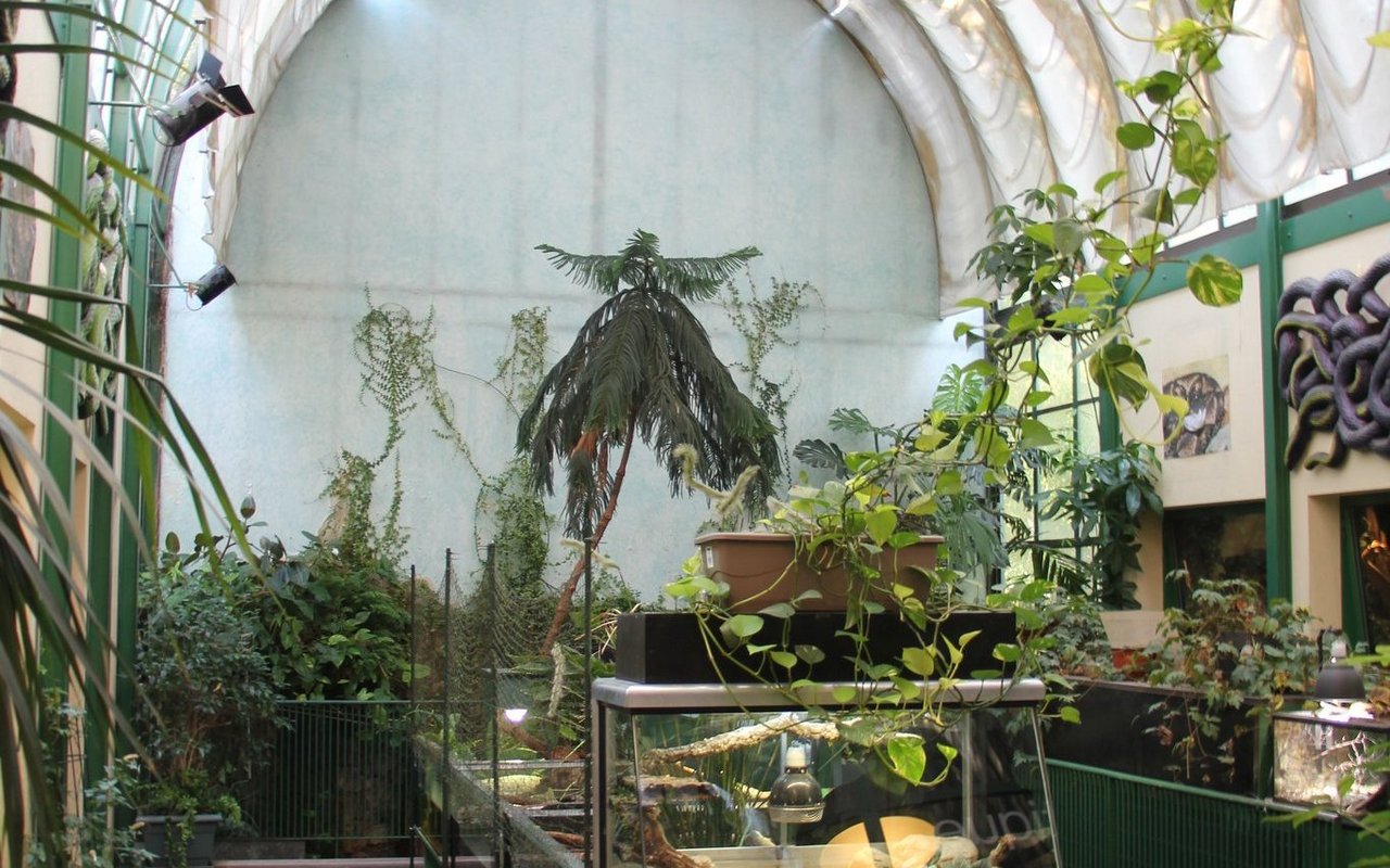 Die geheimnisvolle Halle des Vivariums de Meyrin mit Tropenpflanzenwuchs und den Terrarien seitlich und in der Mitte. 