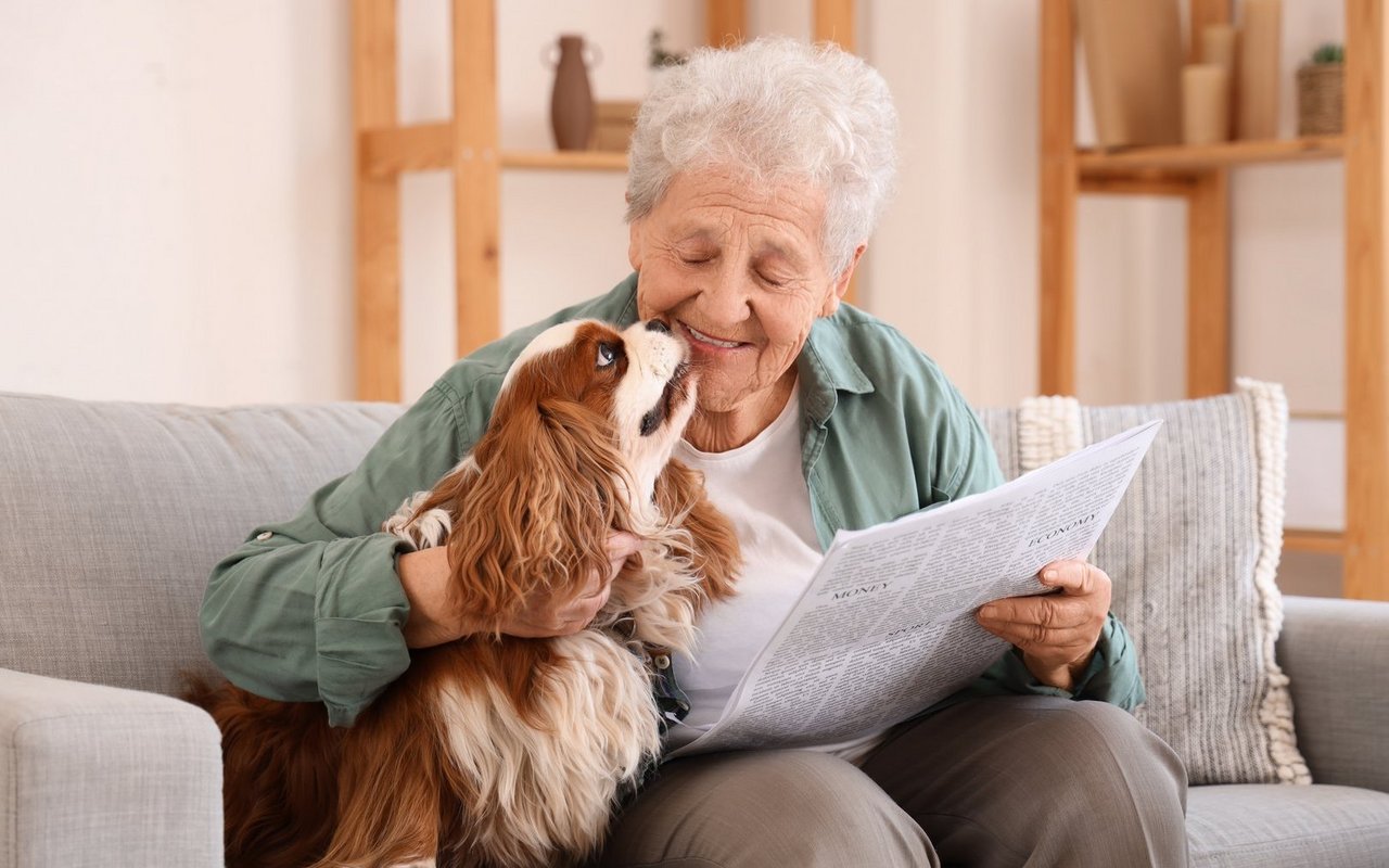 Wer vorsorgt, kann sicherstellen, dass das geliebte Haustier weiterhin ein gutes Leben hat.