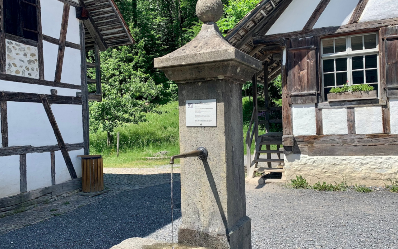 Über das Wasser in Brunnen und Tränken kann sich der Parasit Neospora Caninum verbreiten.