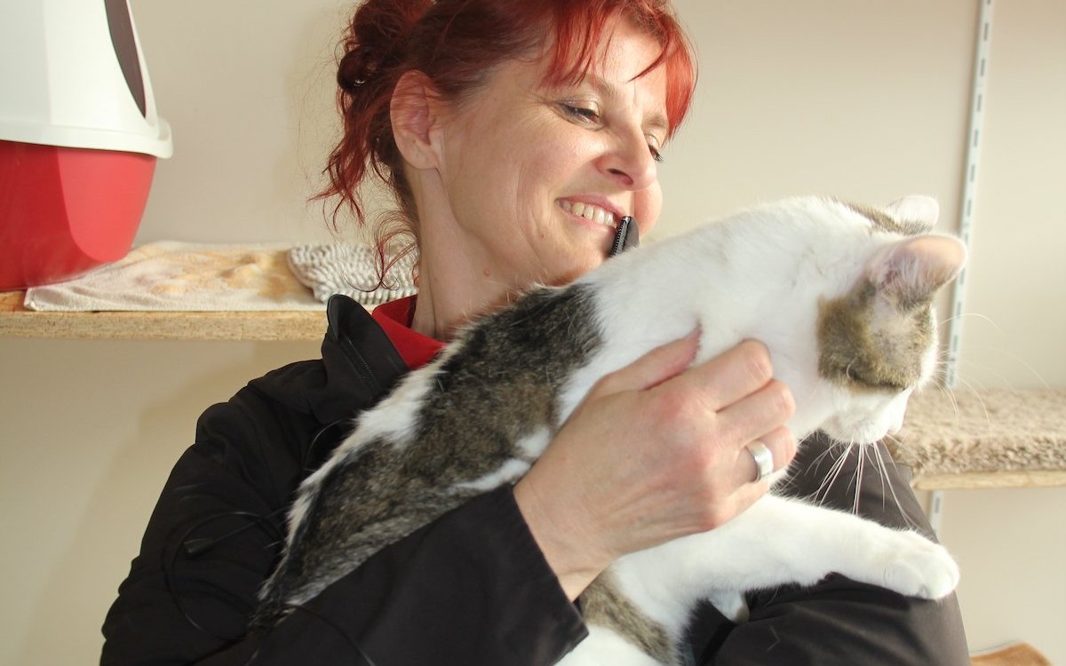 Therese Beutler mit einer Katze in der Vermittlung des Tierzentrums Bern. 