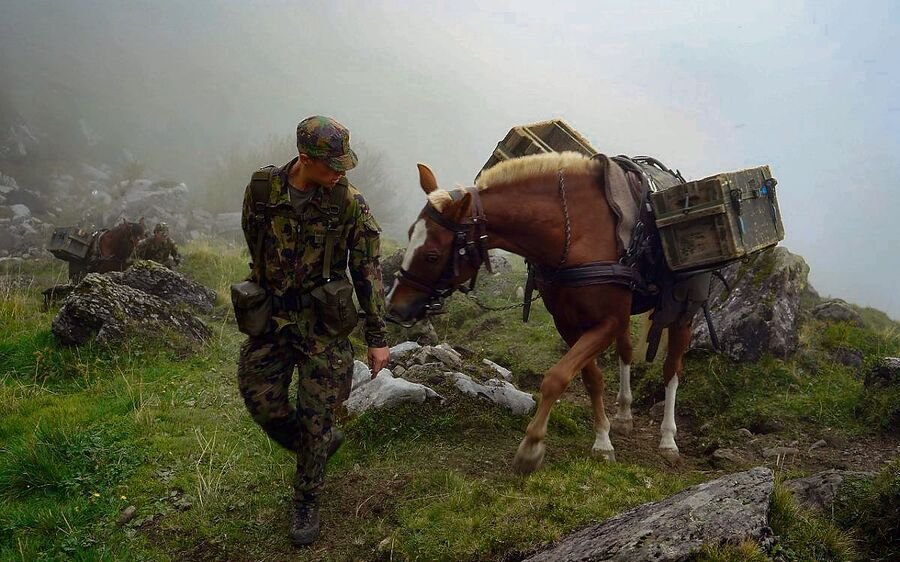 Materialtransport ist eine der Aufgaben der Pferde in der Armee. 