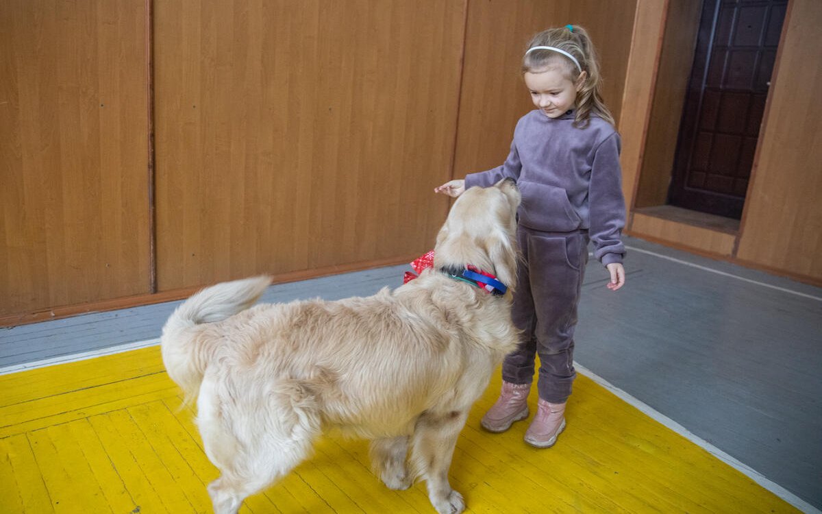 Die Kinder lernen den Umgang mit Hunden. 