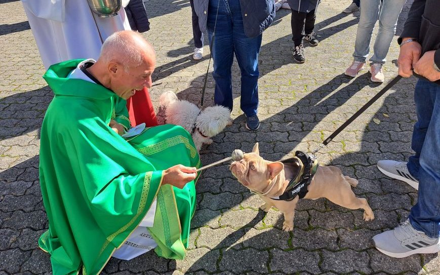Pfarrer Nicolas Betticher segnete am 22. Oktober 15 Hunde und noch viele andere Tiere. 