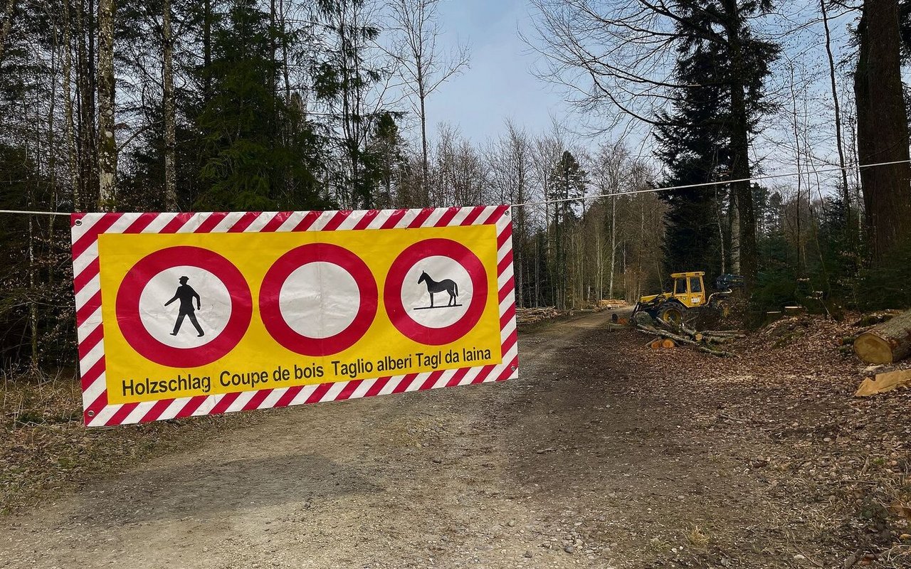 Durchgangsverbote sind zum Schutz der Waldbesucher installiert.