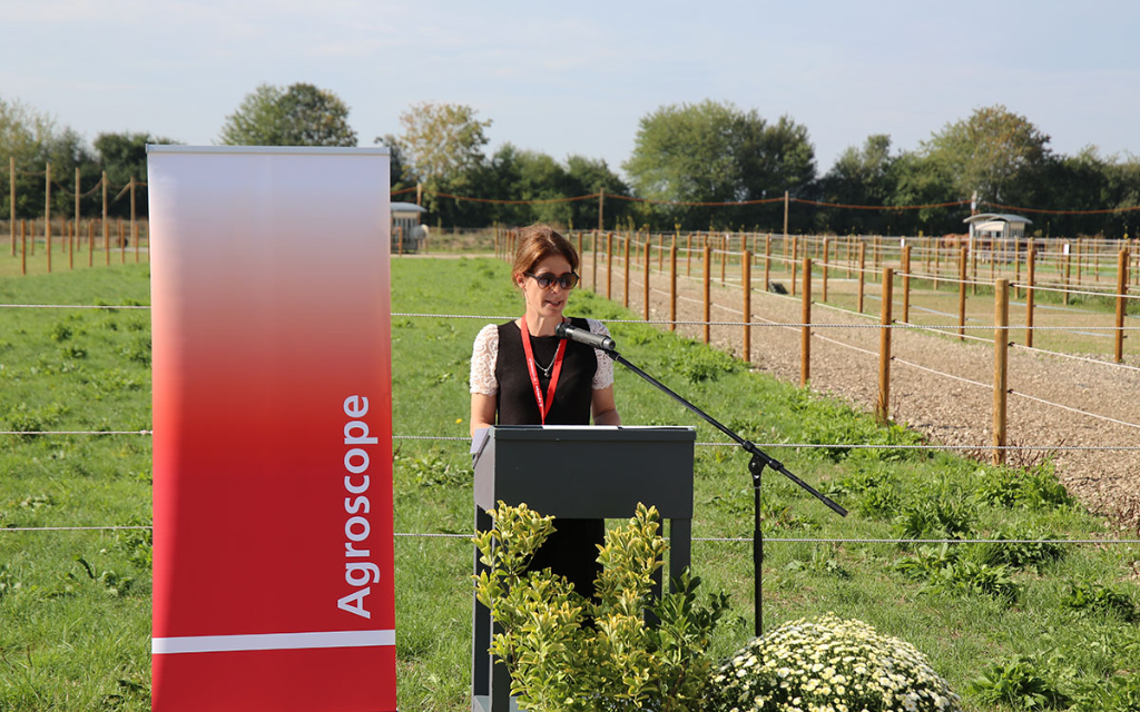 Corinne Boss ist, als Leiterin des Kompetenzbereichs Tiere und tierische Produkte von Agroscope, verantwortlich für das Schweizer Nationalgestüt.