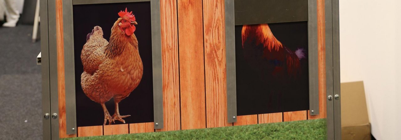 Dank modernster Technologie machen Hühnertürchen wie jenes von Jost Technik jeden Stall sicher vor Raubtieren.