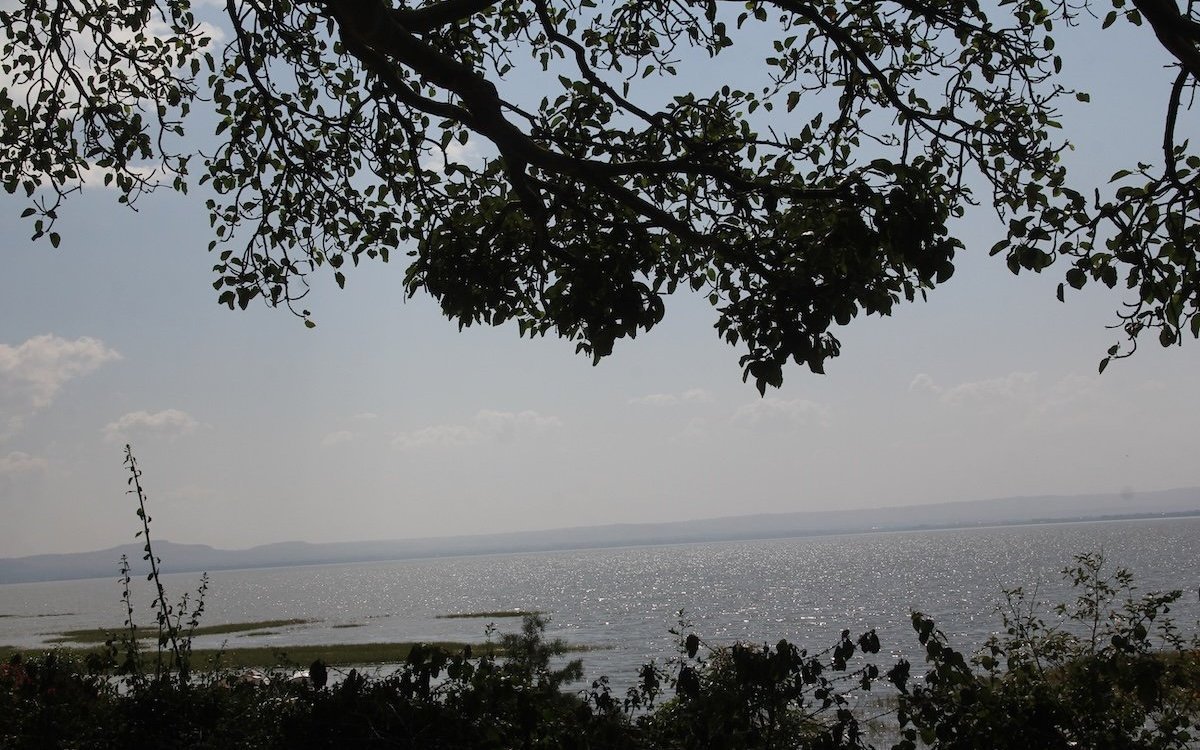 Der Awasasee im Rift Valey in Äthiopien. In grossen Teilen dieses Landes am Horn von Afrika ist der Senegalamarant mit der Unterart brunneiceps (Braunkopfamarant) verbreitet. 