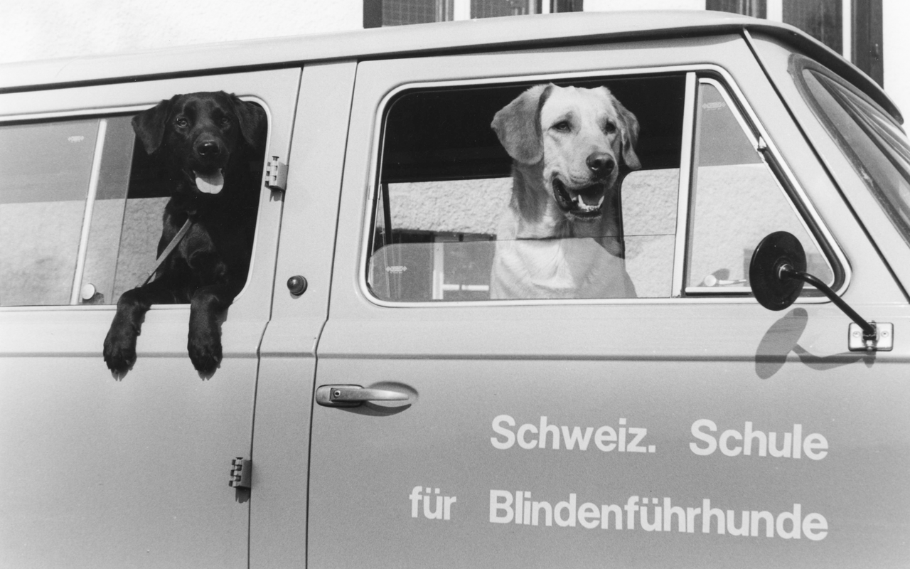 Blindenführhunde werden schon seit Jahren eingesetzt. 
